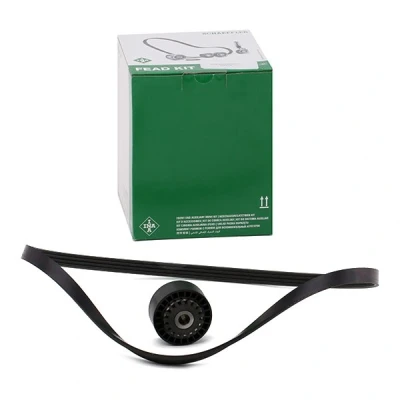 Abbildung von INA 529 0100 10 Keilrippenriemensatz Generatorfreilauf prüfen und ggf. erneuern RENAULT: CLIO 4, 2, Kangoo I, PEUGEOT: 206 Hatchback