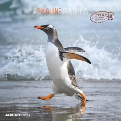 Abbildung von Pinguine 2025 Broschürenkalender 30x30 cm (30x60 geöffnet) Kalender mit Platz für Notizen Penguins Bildkalender Wandplaner Wandkalender