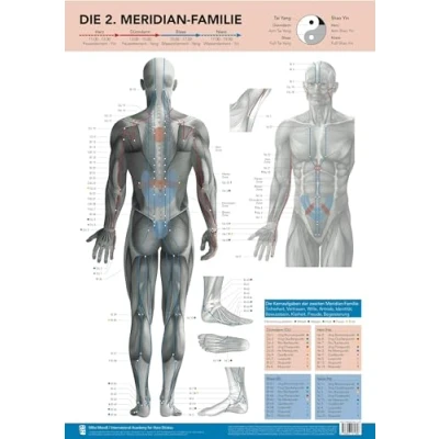 Abbildung von Die 2. Meridian Familie von Mike Mandl.: Herz, Dünndarm, Blase, Niere