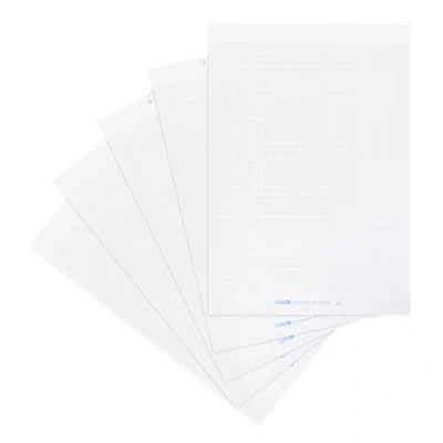 Abbildung von Landré Flipchart Papier, kariert, 20 Blatt je Block, 6 fach Lochung, 5 Stück