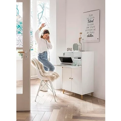 Abbildung von Schildmeyer Schreibtisch »Serie 500«, Breite 65,2 cm, Sekretär Aktenschrank mit ausklappbarer Schreibplatte
