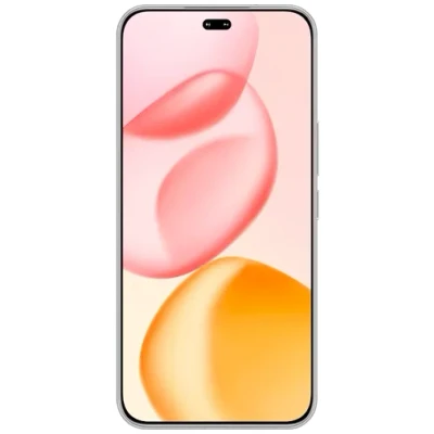 Abbildung von Honor 400 Pro 12GB/512GB Grau