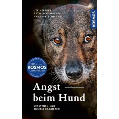 Abbildung von Angst beim Hund: Erkennen, verstehen und richtig reagieren