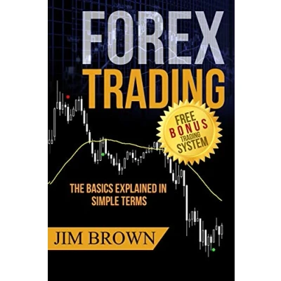 Abbildung von Forex TRADING: The Basics Explained in Simple Terms (Forex, Trading System, Strategy, Oil, Precious metals, Commodities, Stocks, Currency Trading, Bitcoin, Band 1)