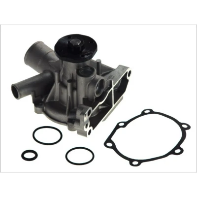 Abbildung von MAGNETI MARELLI 352316171019 Wasserpumpe