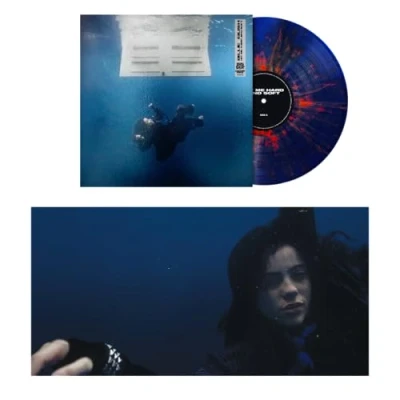 Abbildung von HIT ME HARD AND SOFT (1 Year Blue+orange LP) [Vinyl LP]