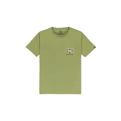 Abbildung von Quiksilver EVO Crisis Tshirt print für Kinder, Größe: 140, Loden green
