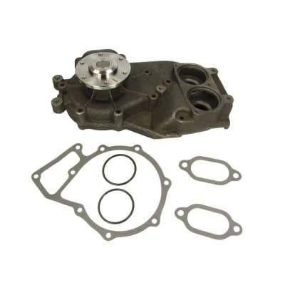Abbildung von DOLZ M624 Wasserpumpe