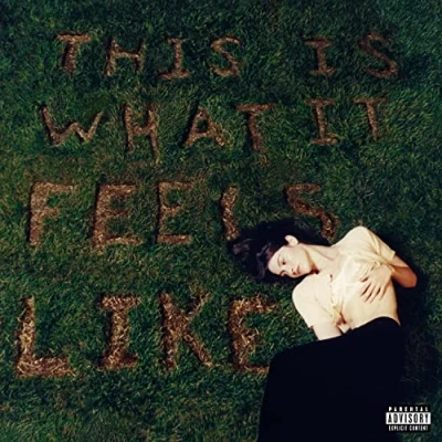 Abbildung von This Is What It Feels Like (Vinyl) [Vinyl LP]