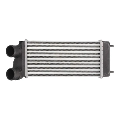 Abbildung von THERMOTEC DAC004TT Ladeluftkühler 300 150 88 PEUGEOT: 307 Hatchback