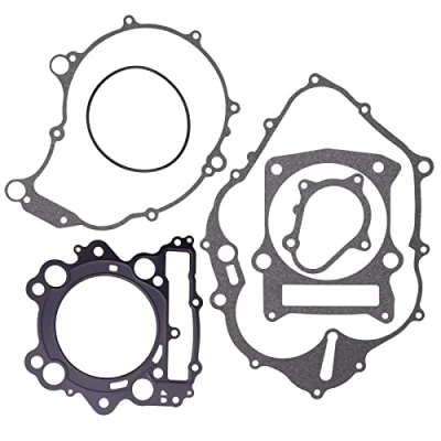 Abbildung von Road Passion Zylinder Dichtsatz Motordichtungen kopfdichtung kompatibel für Yamaha YFM660R Raptor 660 660R 2001 2005 Limited Edition 2002 2004