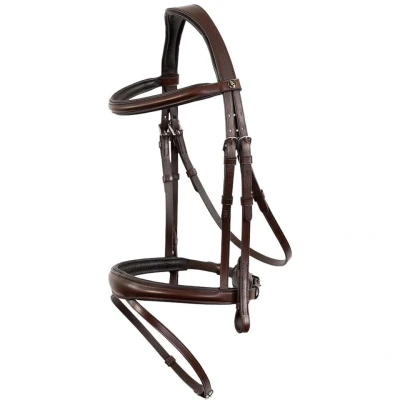 Abbildung von BR Bridle Credition