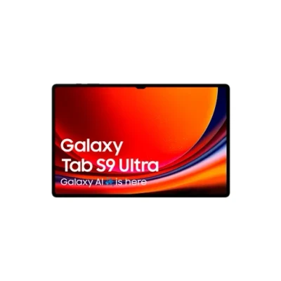 Abbildung von Samsung Galaxy Tab S9 Ultra WiFi + 5G 256GB X916 Grau