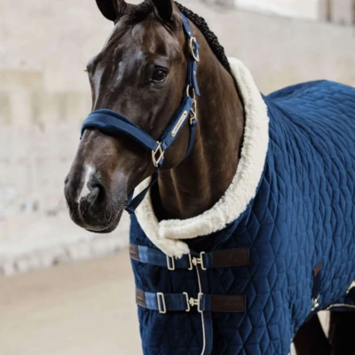 Abbildung von Kentucky Showdecke Velvet 160g Navy 160/213