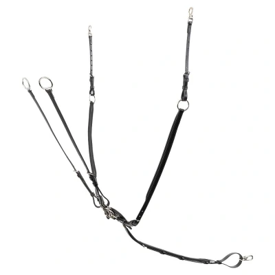 Abbildung von BR Breast Plate Corsham