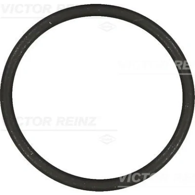 Abbildung von REINZ 40 76854 00 Ansaugkrümmerdichtung FPM (Fluor Kautschuk) VOLKSWAGEN: Golf 4, 5, Touran I, SEAT: Ibiza 4 Sportcoupe, 3