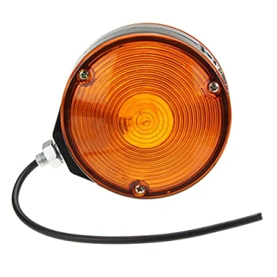Abbildung von Alamor Anhänger LKW Lorry Lollipop Ohrring Bernstein Spiegel Seite Maker Lampe Licht