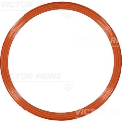 Abbildung von REINZ 71 10829 00 Ansaugkrümmerdichtung AUDI: A6 C7 Allroad, Avant, Saloon, VOLKSWAGEN: Amarok Pickup