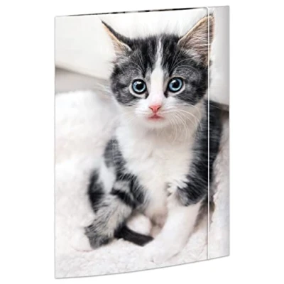 Abbildung von RNKVERLAG 45331 Zeichenmappe Katze 310 x 440 mm in DIN A3 mit Gummizugverschluss, 1 Stück