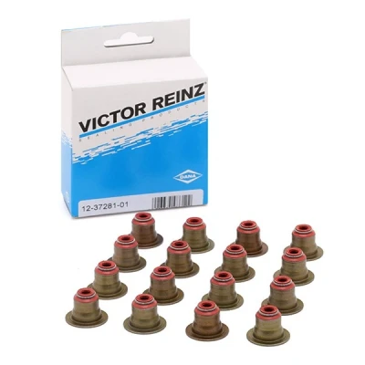 Abbildung von REINZ 12 37281 01 Dichtungssatz, Ventilschaft BMW: 3 Saloon, Touring, 5 Saloon