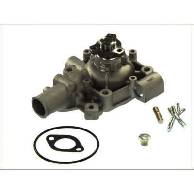Abbildung von THERMOTEC D1E003TT Wasserpumpe mit Dichtung mechanisch