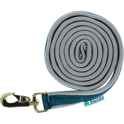 Abbildung von Bucas Lead Rein Dublin Padded Atlantic/Silver
