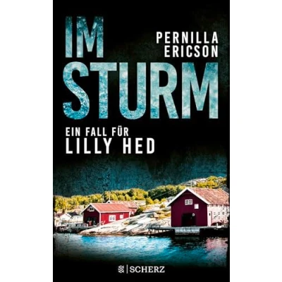 Abbildung von Im Sturm: Ein Fall für Lilly Hed Blitzender Hass: Die Vier Elemente Krimireihe aus Schweden 2