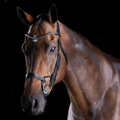 Abbildung von Collegiate Comfitec Crystal Schwarz Warmblut