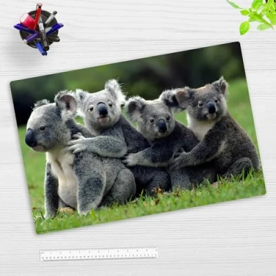 Abbildung von Schreibtischunterlage für Kinder und Erwachsene Koala Familie 60 x 40 cm aus hochwertigem Vinyl Made in Germany