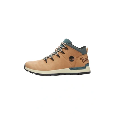 Abbildung von Timberland Sneaker low, Herren, Größe: 42, Medium brown Schuhe