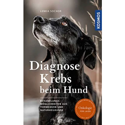 Abbildung von Diagnose Krebs beim Hund: Behandlungsmöglichkeiten aus Tiermedizin und Naturheilkunde