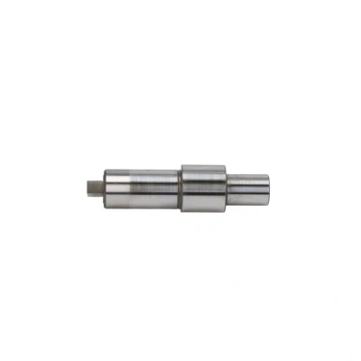 Abbildung von Exzenterwelle, Common Rail System Pumpe BOSCH F 00N 203 133
