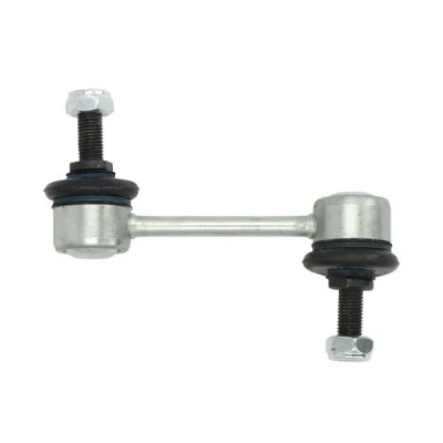 Abbildung von REINHOCH RH07 1006 Koppelstange Hinterachse beidseitig 100 M10 LANCIA: Lybra Saloon