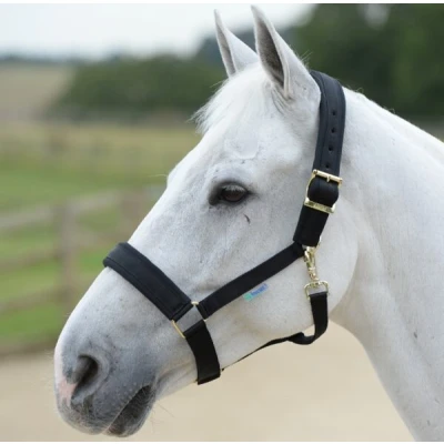 Abbildung von Bucas Halfter Comfort Schwarz XWarmblut