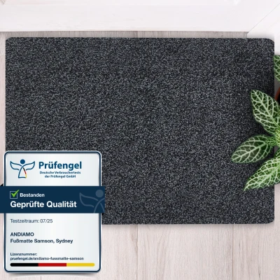 Abbildung von andiamo Fußmatte Samson Schmutzfangmatte aus Baumwolle für den Hauseingang einsetzbar als innen, Fußabtreter im überdachten Außenbereich 60 x 100 cm + 67 180 Granit