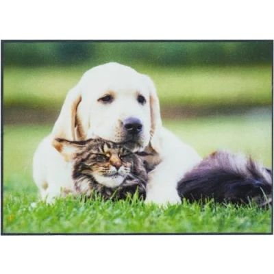 Abbildung von andiamo Fußmatte Modern Schmutzfangmatte mit rutschhemmender Rückseite außen für den Hauseingang Fußabtreter Türmatte 40 x 60 cm Hund &amp; Katze