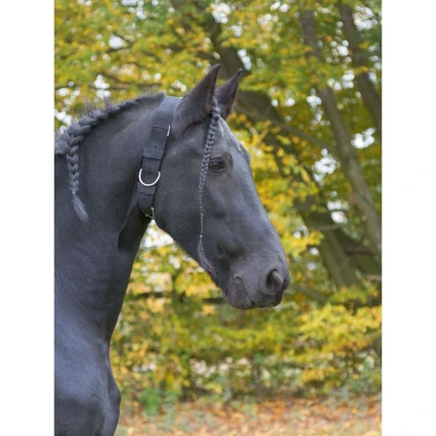 Abbildung von Kerbl Halsriemen für Pferde Schwarz Warmblut