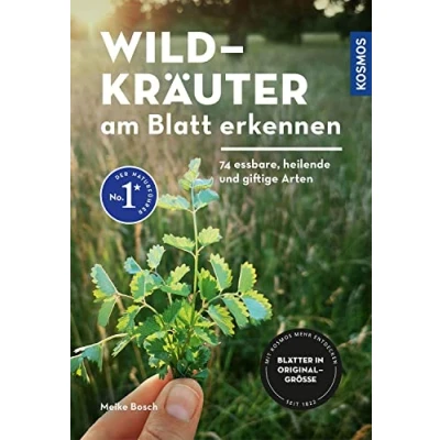 Abbildung von Wildkräuter am Blatt erkennen: 74 essbare, heilende und giftige Arten Blätter in Originalgröße abgebildet