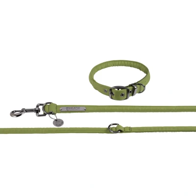 Abbildung von Eskadron FW&#039;24 Platinum Collar and Lead set