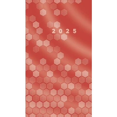 Abbildung von rido/idé Taschenkalender Modell TM 12 (2025), 2 Seiten = 1 Monat, A6, 56 Seiten, Karton Umschlag, burgund