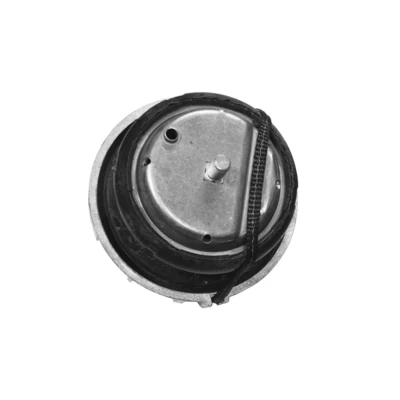 Abbildung von TEDGUM TED46098 Motorlager vorne, beidseitig MERCEDES BENZ: Viano