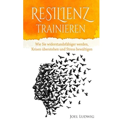 Abbildung von Resilienz trainieren: Wie Sie widerstandsfähiger werden, Krisen überstehen und Stress bewältigen