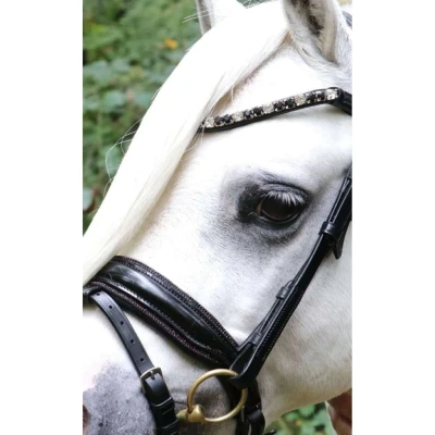 Abbildung von HB Showtime Bridle Special A pony
