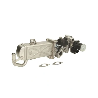 Abbildung von ENGITECH ENT500100 AGR Modul VOLKSWAGEN: Sharan II, Polo V Hatchback, GOLF 6, SEAT: Alhambra Ibiza 4, Leon II SKODA: Yeti