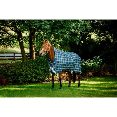 Abbildung von Rhino by Horseware Wug Turnout 0g Hunter Check/Marineblau/GrünVerkauft von Agradi