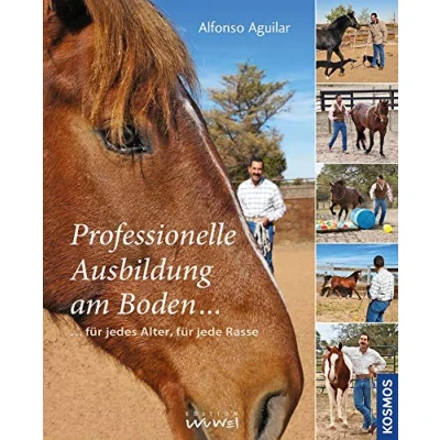 Abbildung von Professionelle Ausbildung am Boden: für jedes Alter, jede Rasse