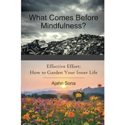 Abbildung von What Comes Before Mindfulness?: Right Effort and the Buddhist Path to Enlightenment