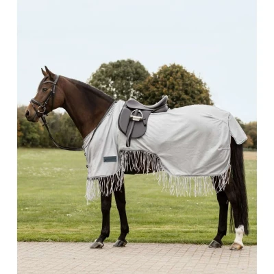Abbildung von Waldhausen Fliegen Ausreitdecke Protect 2.0 Silber Grau 135cm Agradi.deVerkauft von Agradi