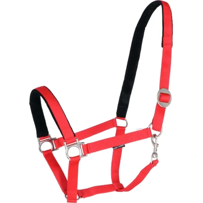 Abbildung von Harry&#039;s Horse Halfter Unterlegt Rot Warmblut