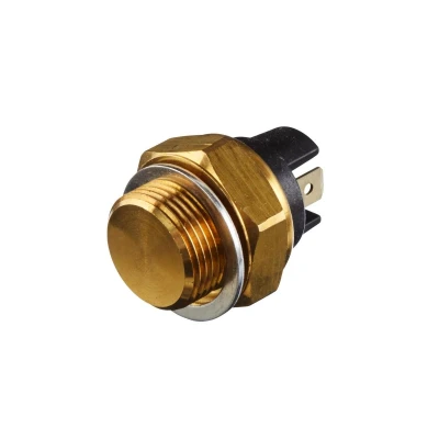 Abbildung von HELLA 6ZT 007 800 011 Temperaturschalter, Kühlerlüfter M 22 x 1,5 12 PEUGEOT: 504 Coupe